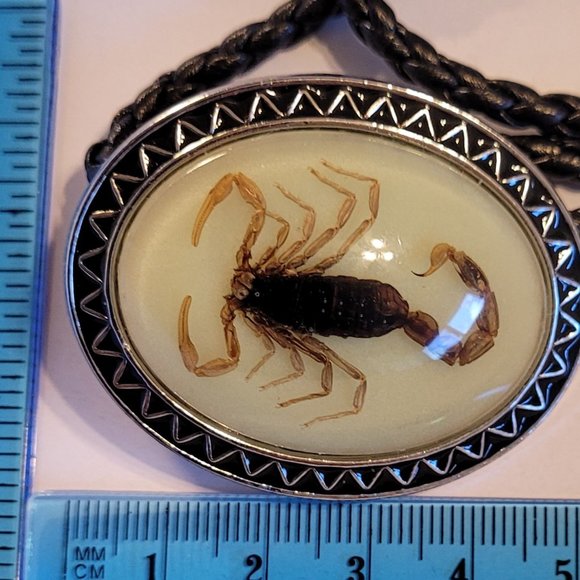 Bolo Tie - Picture 13 of 13